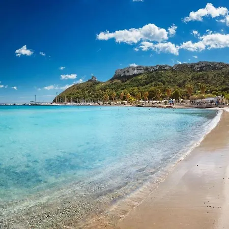 Monaco Waves Su Forti