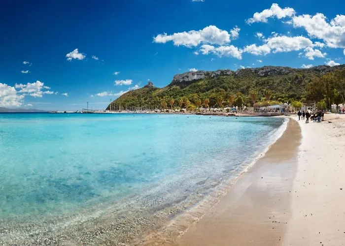 Monaco Waves Su Forti